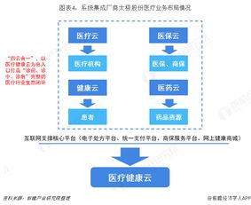 2018年中国计算机系统集成市场需求分析与发展趋势